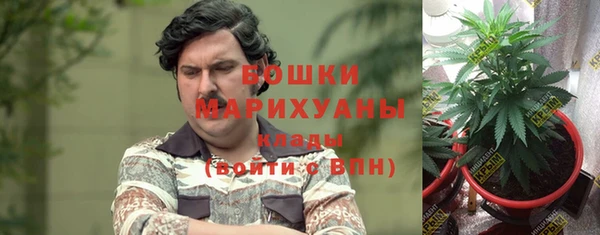 тгк Дмитриев