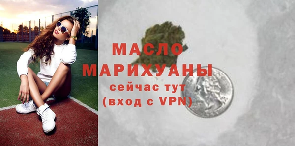 тгк Дмитриев