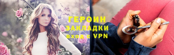 тгк Дмитриев