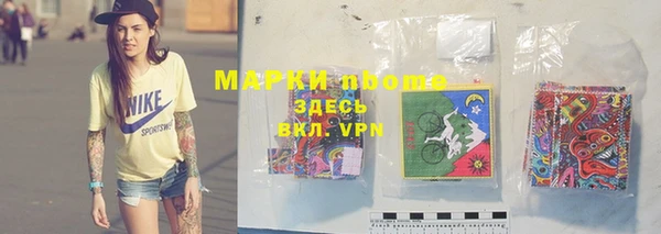 тгк Елизово