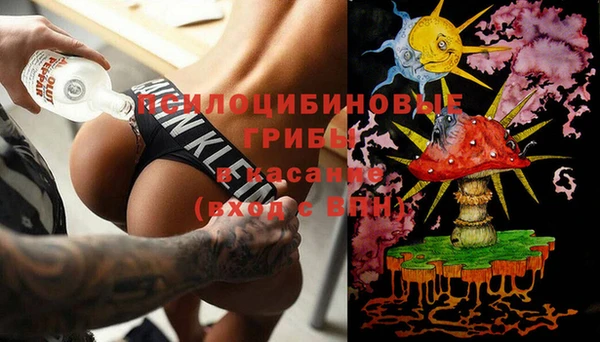 spice Дмитровск