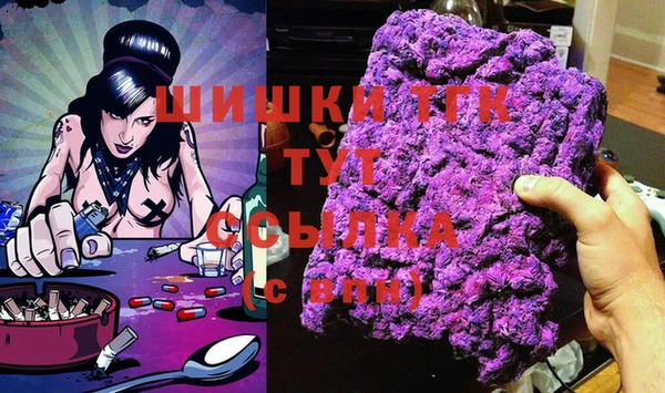 тгк Дмитриев