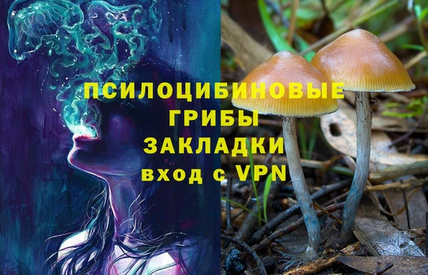spice Дмитровск