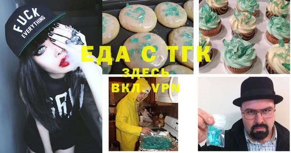 тгк Дмитриев