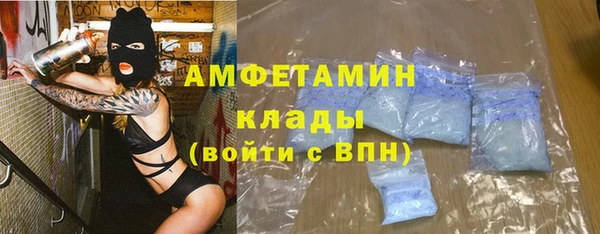тгк Дмитриев