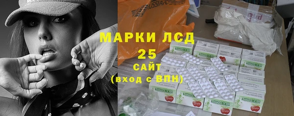 тгк Дмитриев