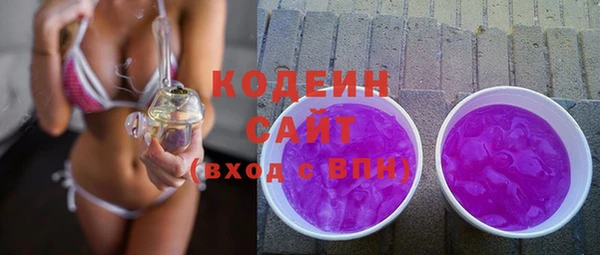 тгк Дмитриев