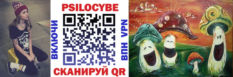 Галлюциногенные грибы мицелий  Купить  Купино 